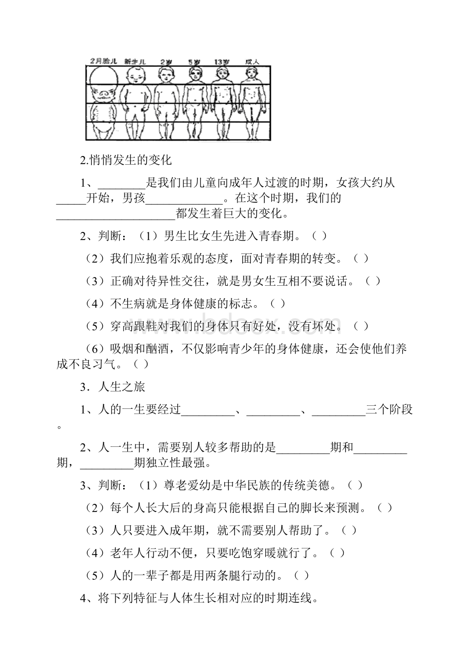 苏教六年下科学第一单元《我们长大了》习题与答案.docx_第2页