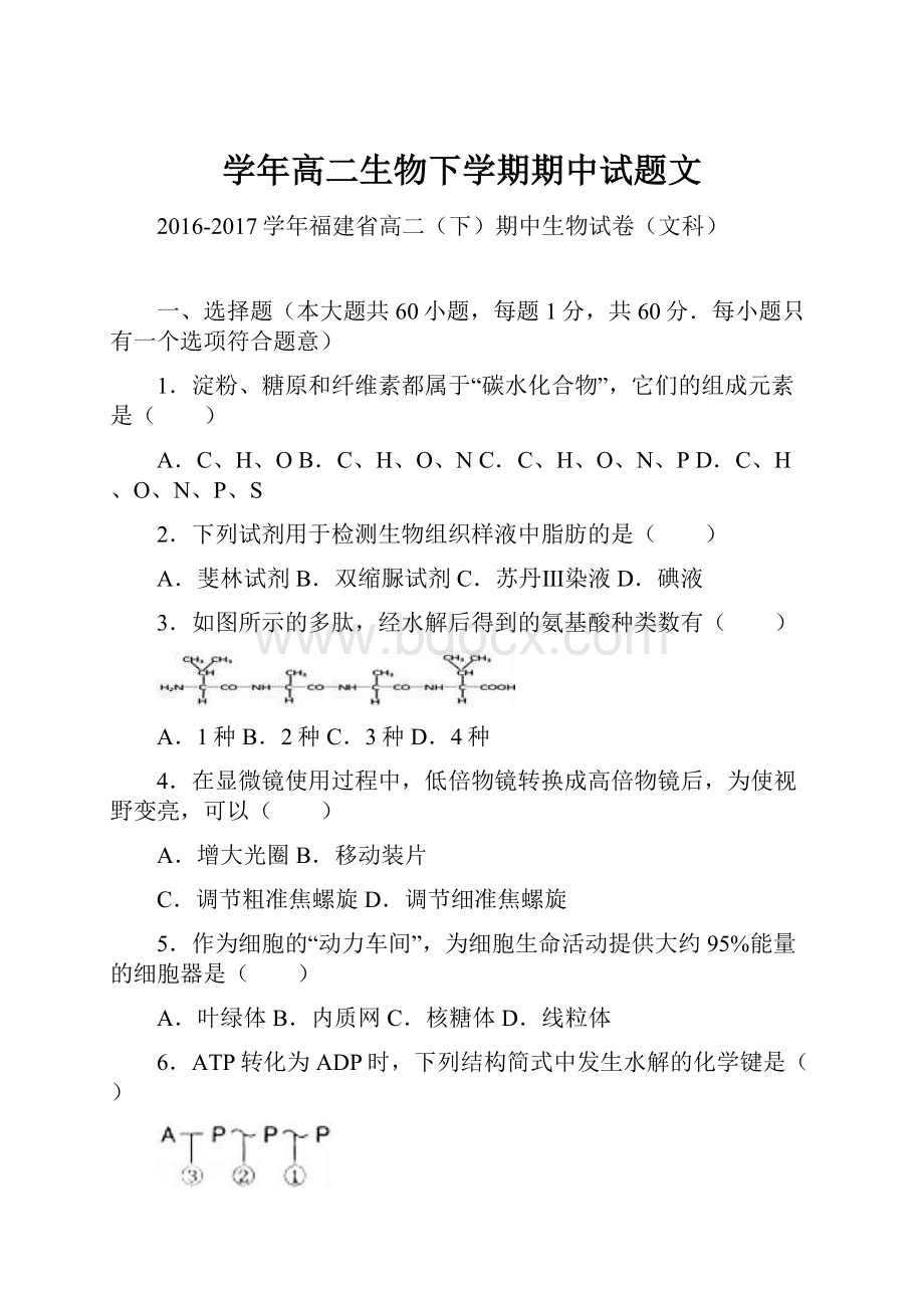 学年高二生物下学期期中试题文.docx