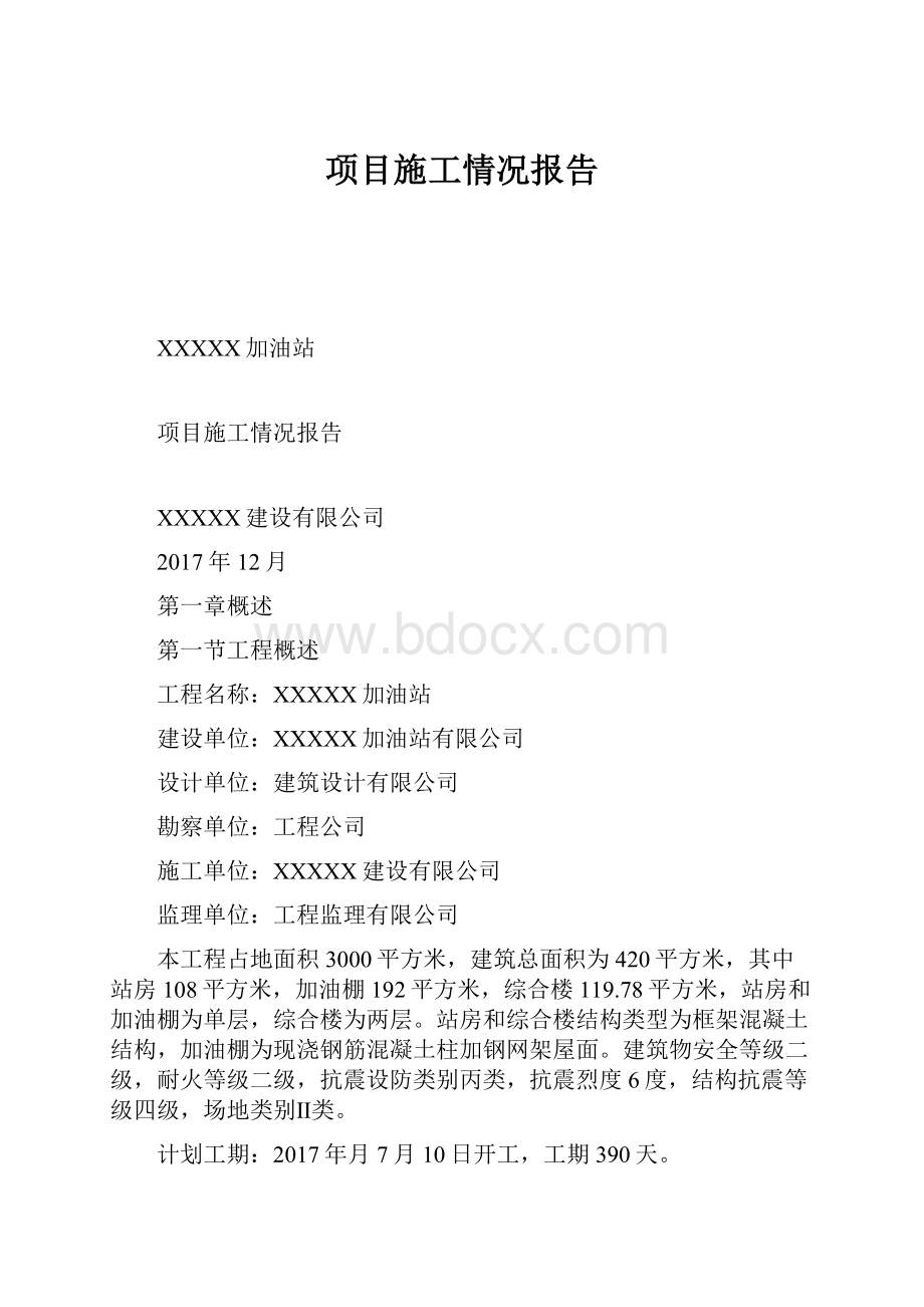 项目施工情况报告.docx