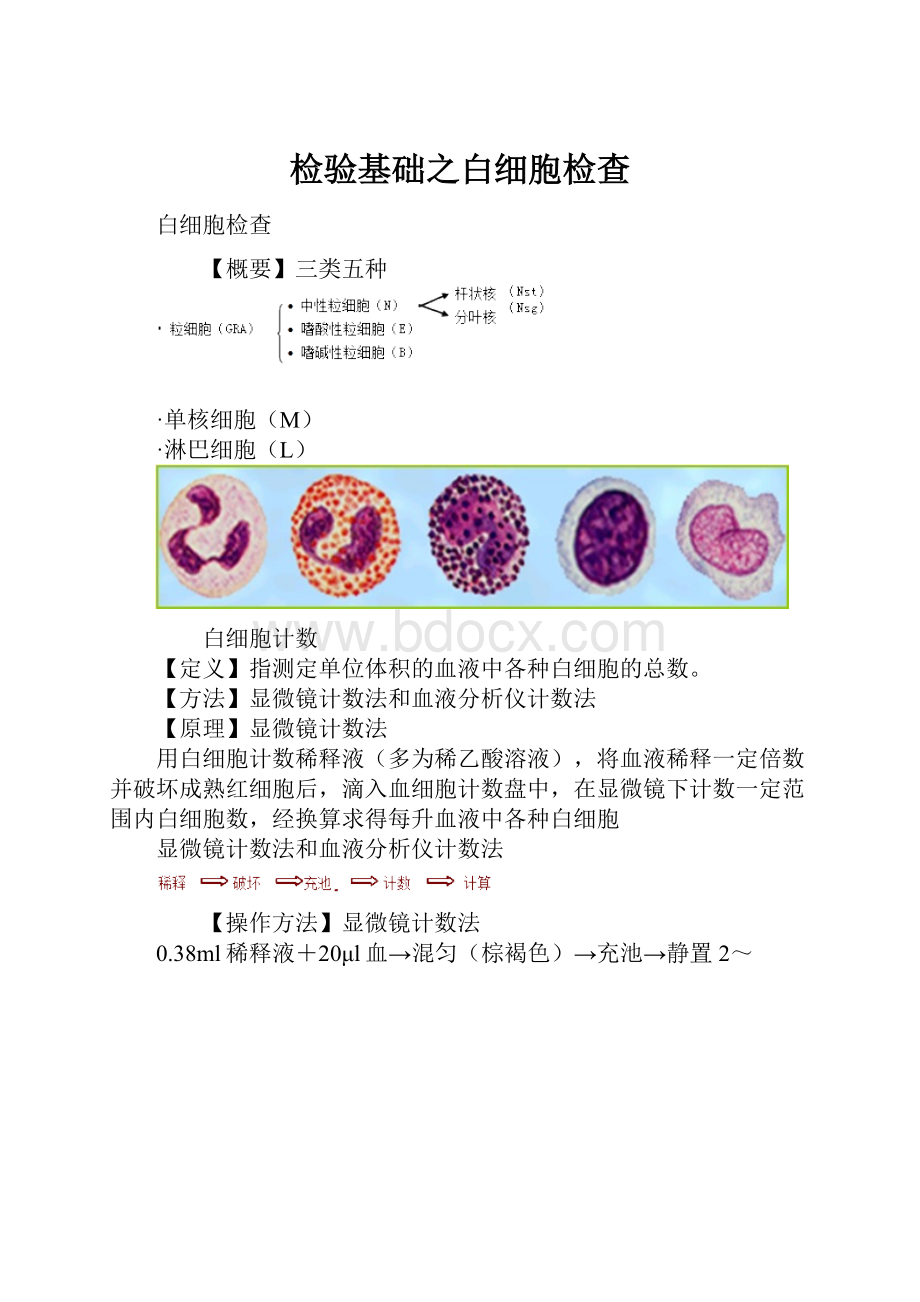 检验基础之白细胞检查.docx