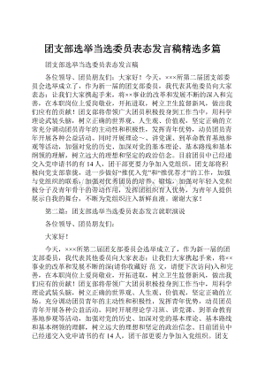 团支部选举当选委员表态发言稿精选多篇.docx