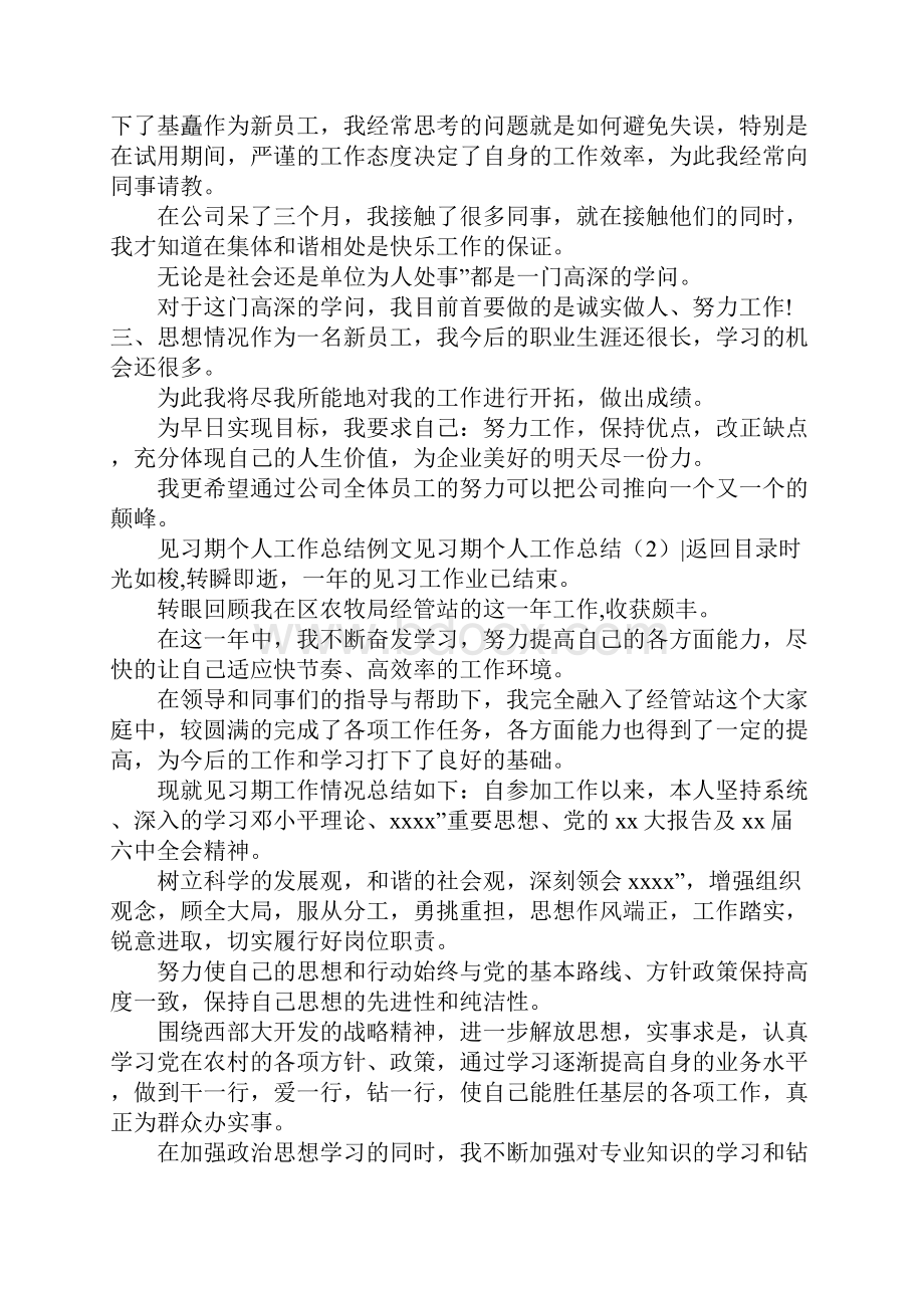 见习期个人工作总结3篇.docx_第2页