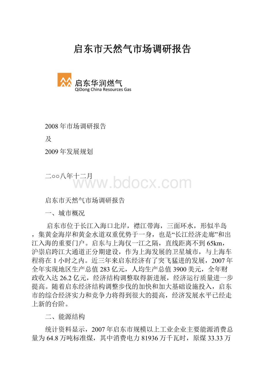 启东市天然气市场调研报告.docx