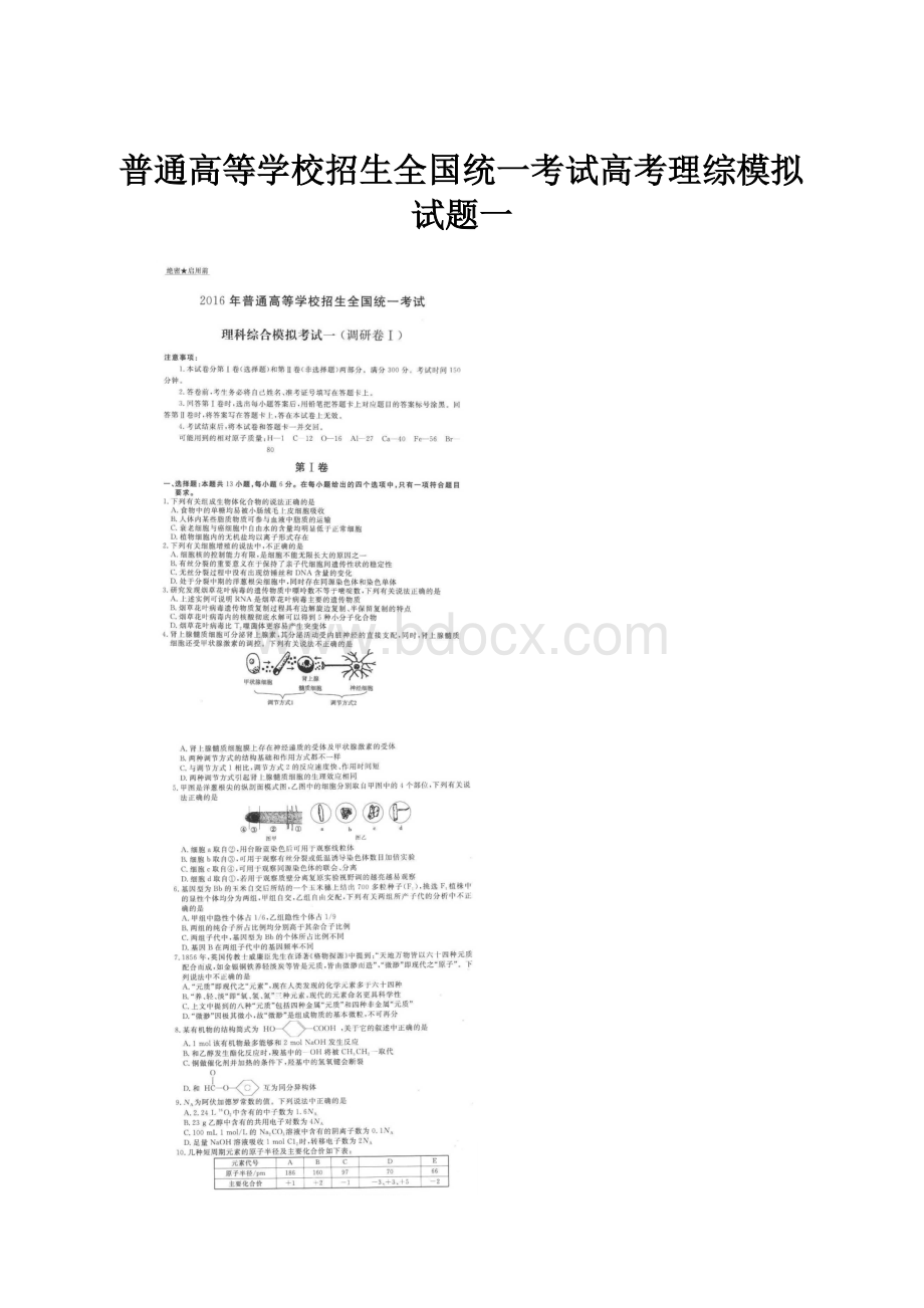 普通高等学校招生全国统一考试高考理综模拟试题一.docx