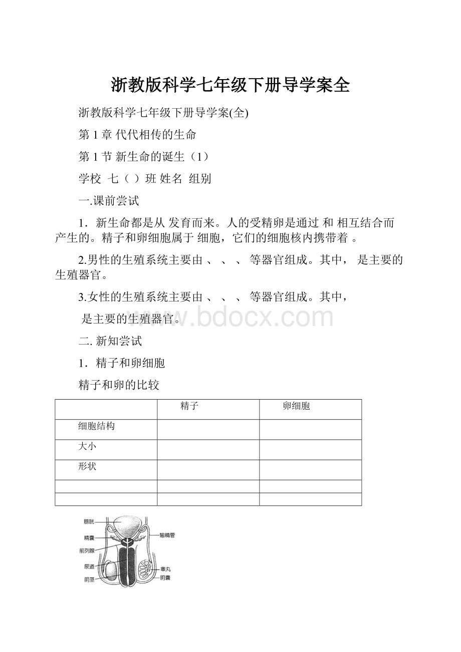 浙教版科学七年级下册导学案全.docx