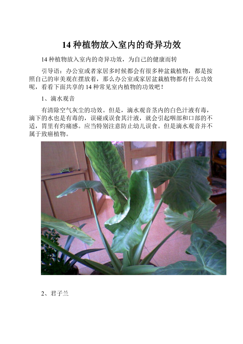 14种植物放入室内的奇异功效.docx