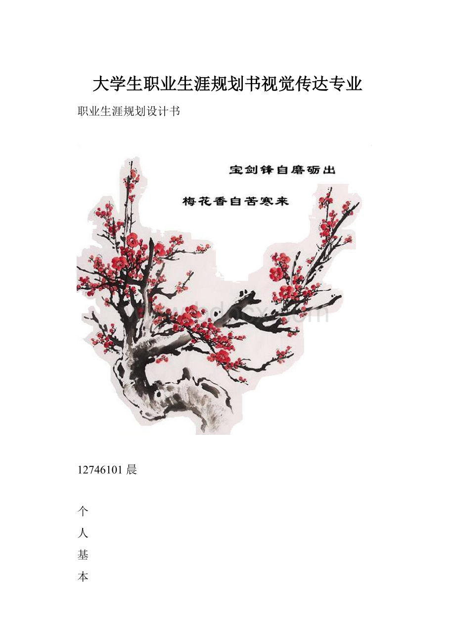 大学生职业生涯规划书视觉传达专业.docx