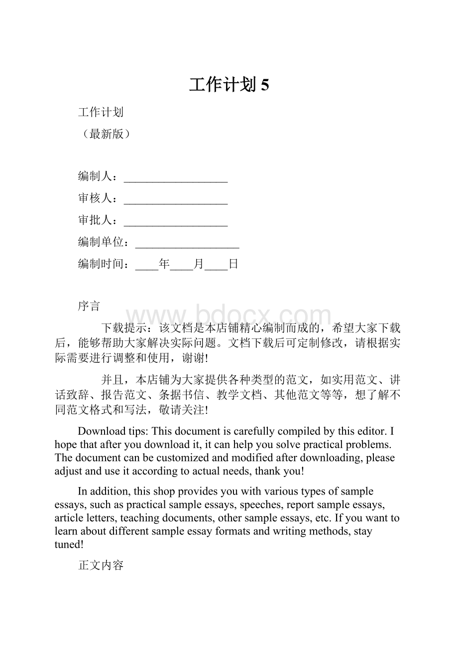 工作计划 5.docx