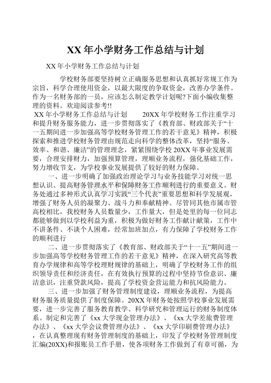 XX年小学财务工作总结与计划.docx