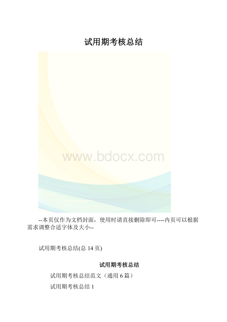 试用期考核总结.docx_第1页