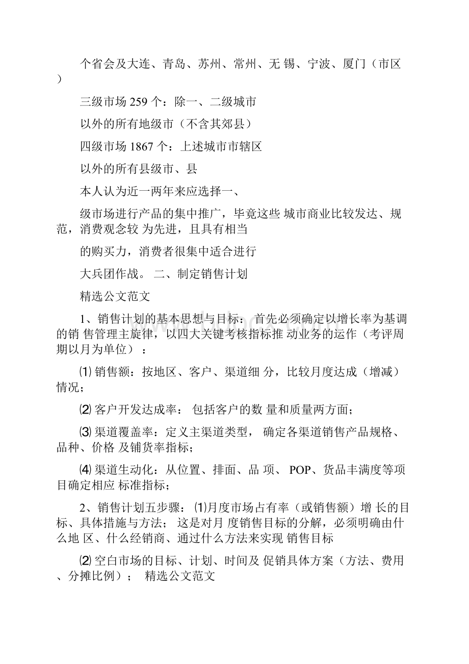 快消品年度销售计划.docx_第2页