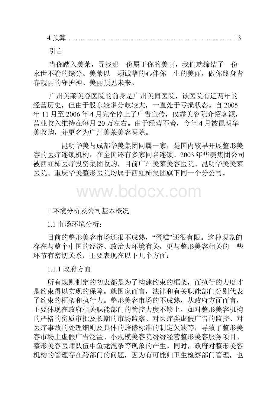 美莱整形策划案完整编辑版.docx_第3页