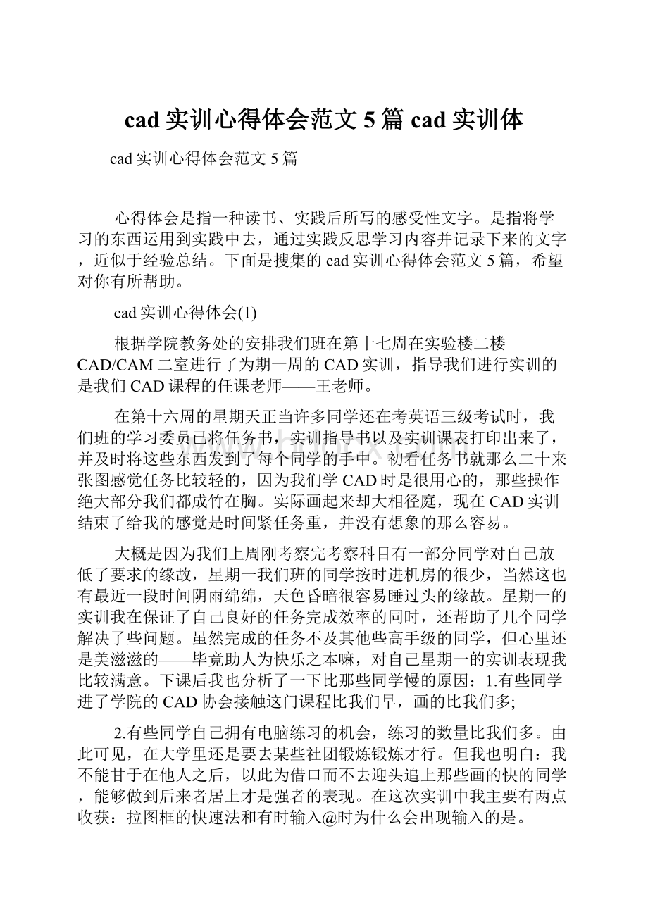 cad实训心得体会范文5篇cad实训体.docx