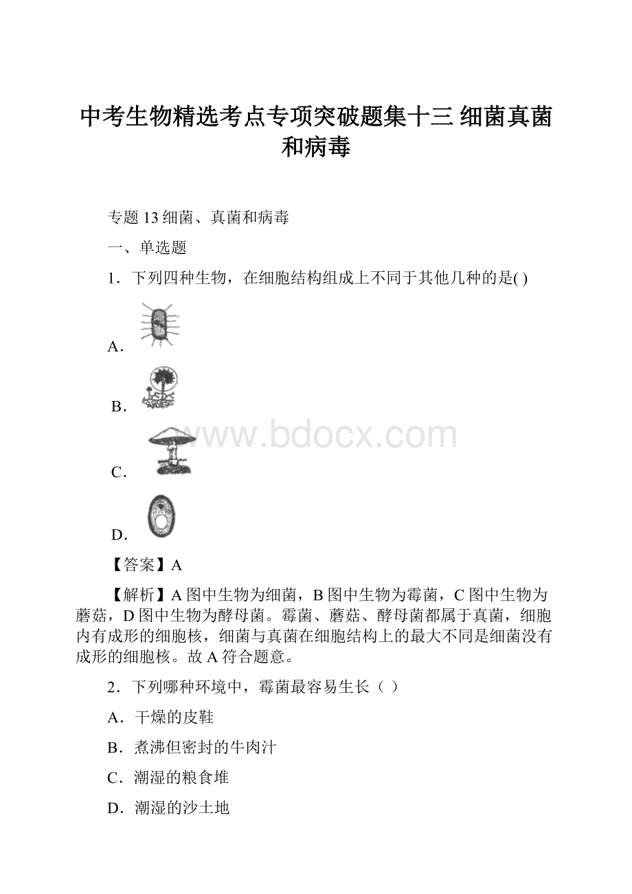 中考生物精选考点专项突破题集十三 细菌真菌和病毒.docx