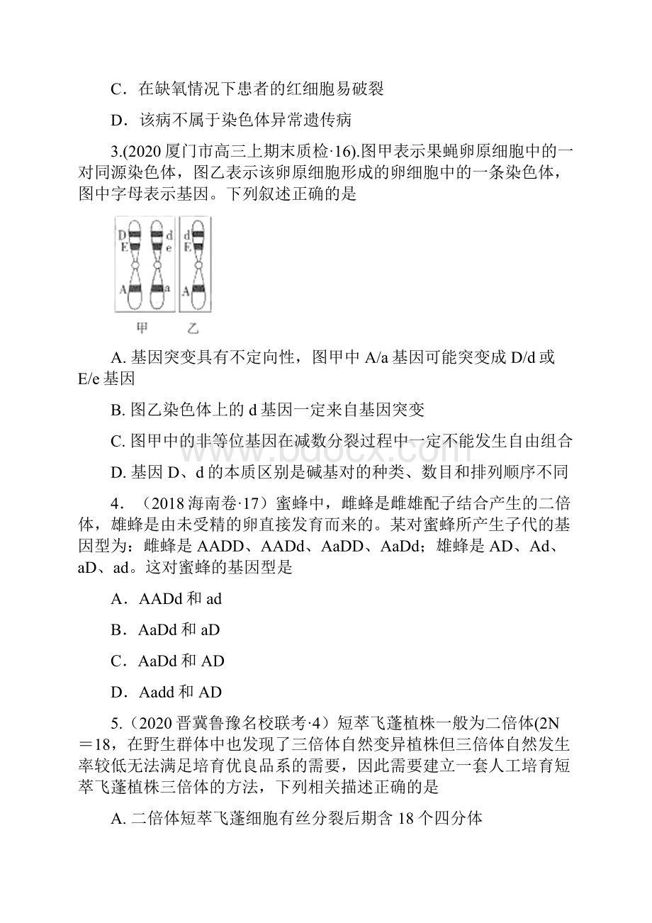 高考生物重难点专练二 变异与进化解析版.docx_第3页