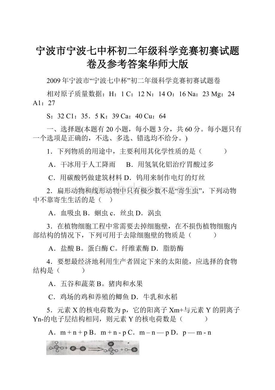 宁波市宁波七中杯初二年级科学竞赛初赛试题卷及参考答案华师大版.docx