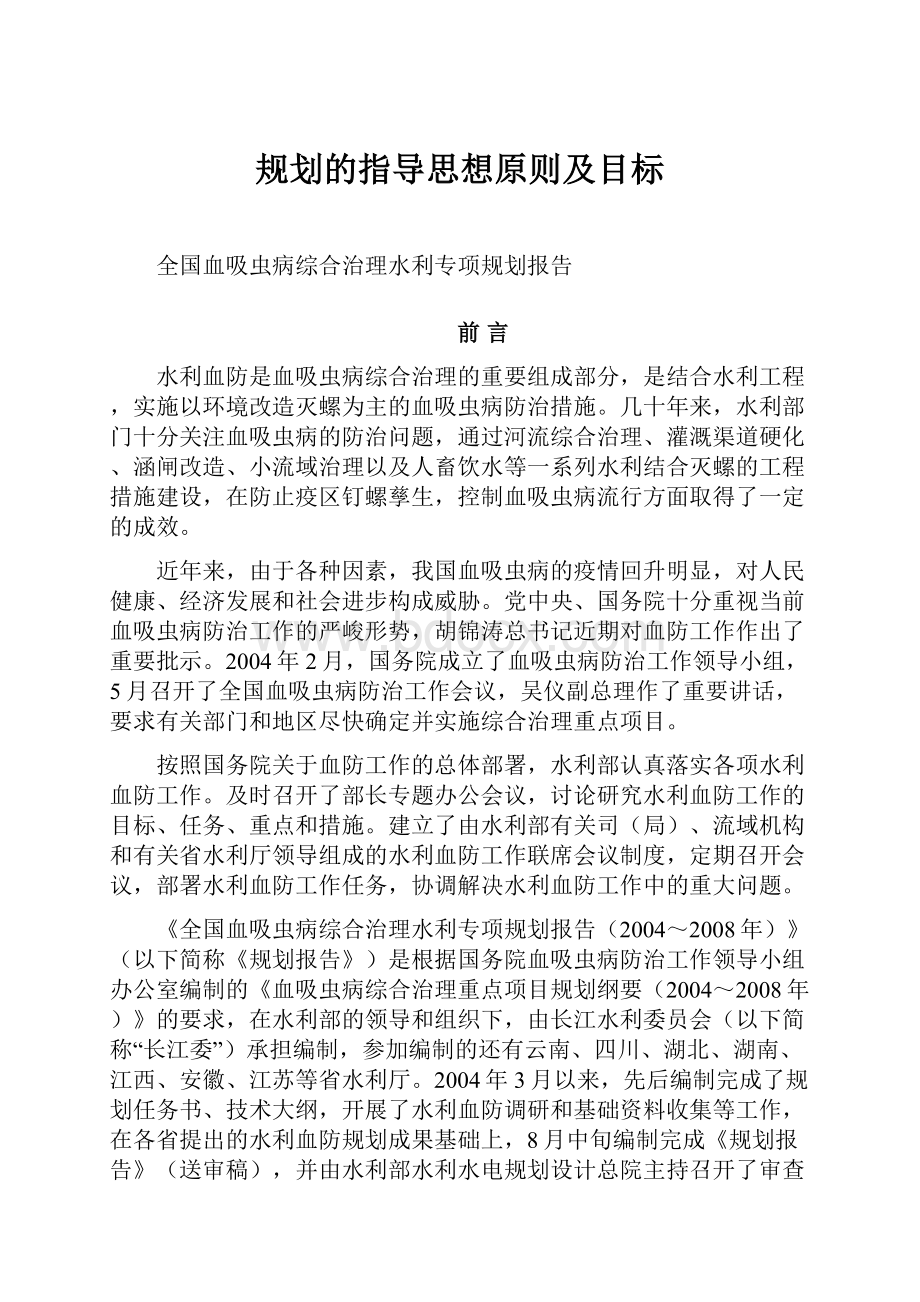 规划的指导思想原则及目标.docx