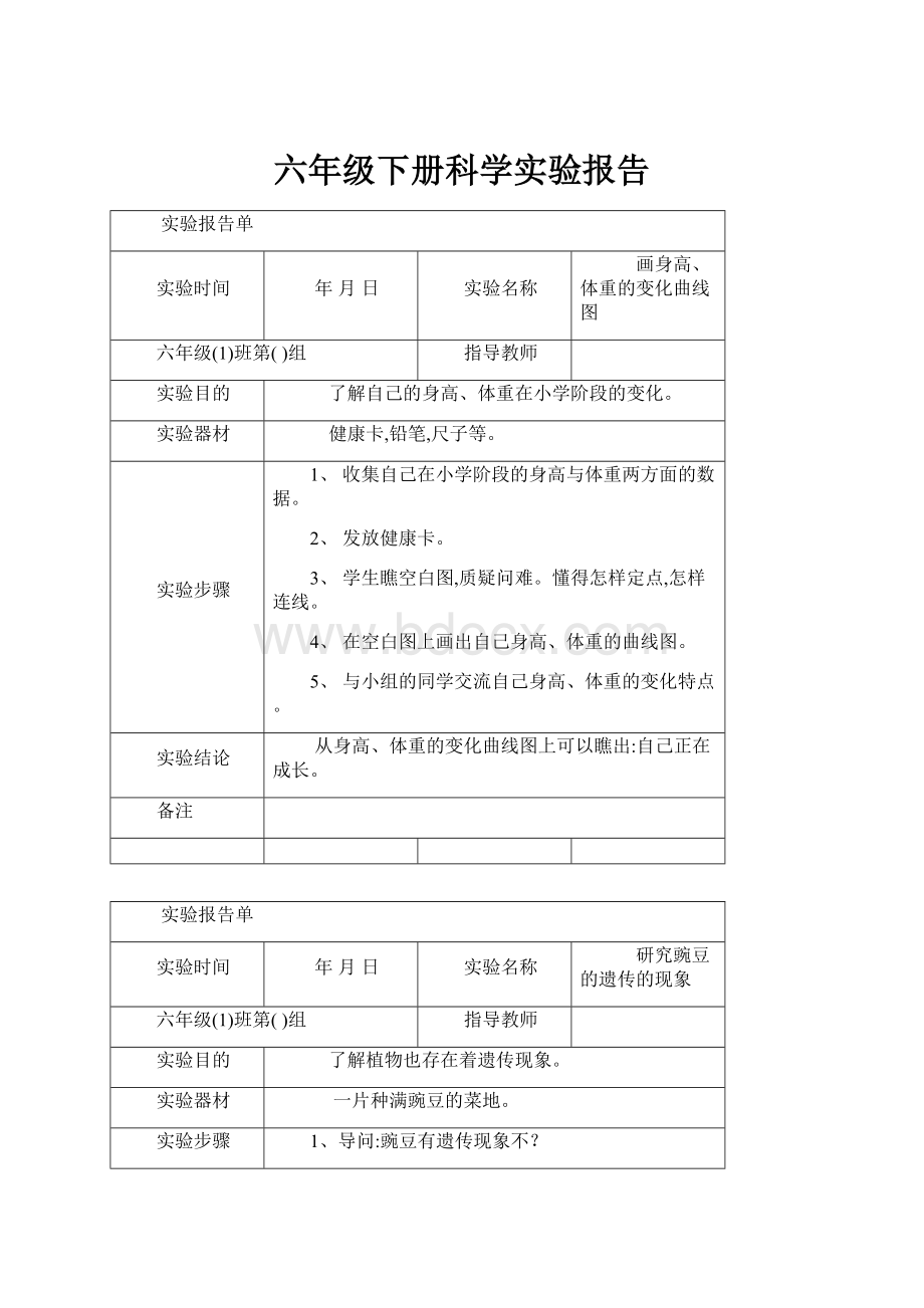 六年级下册科学实验报告.docx