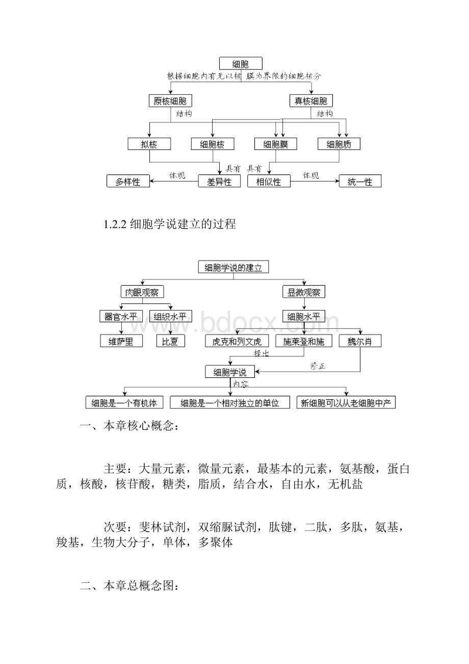 走进细胞概念图汇编.docx_第3页