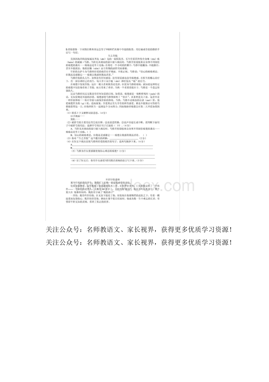 统编版部编版小学语文上册小学语文阅读训练80篇.docx_第2页