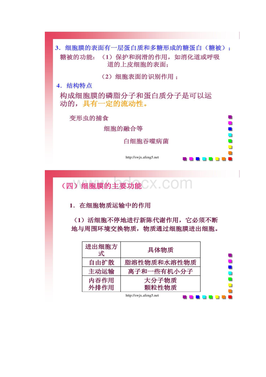 细胞的结构和功能细胞的生物膜系统精.docx_第3页