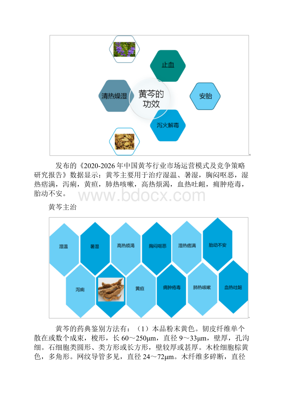 中国黄芩价格走势出口情况及主要企业经营情况分析.docx_第3页