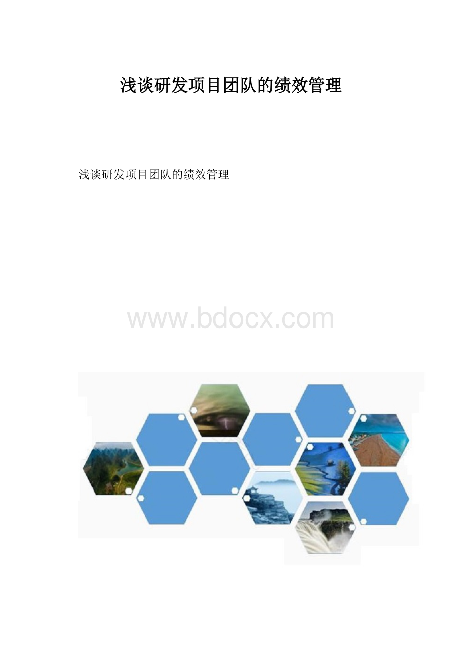 浅谈研发项目团队的绩效管理.docx