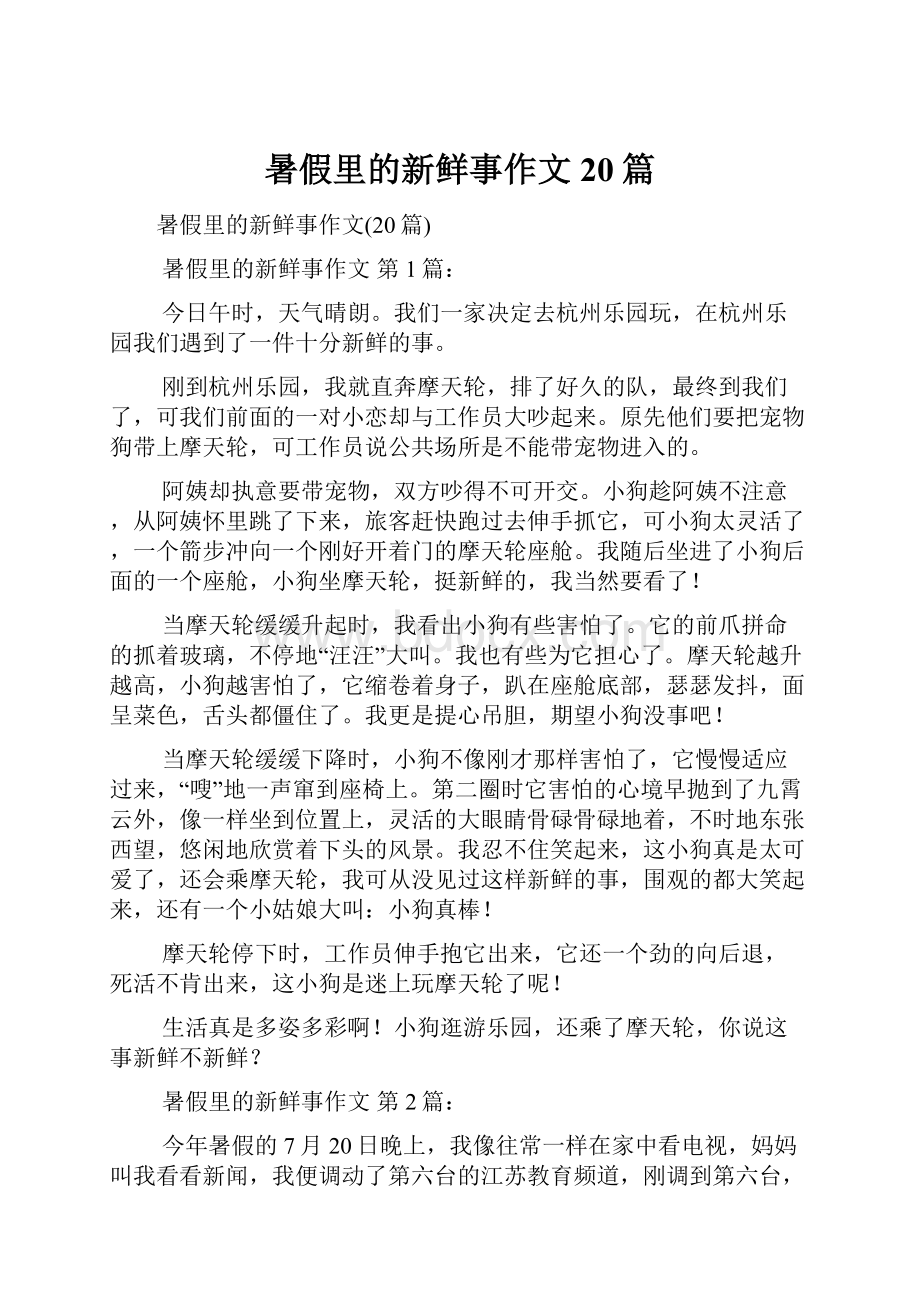 暑假里的新鲜事作文20篇.docx