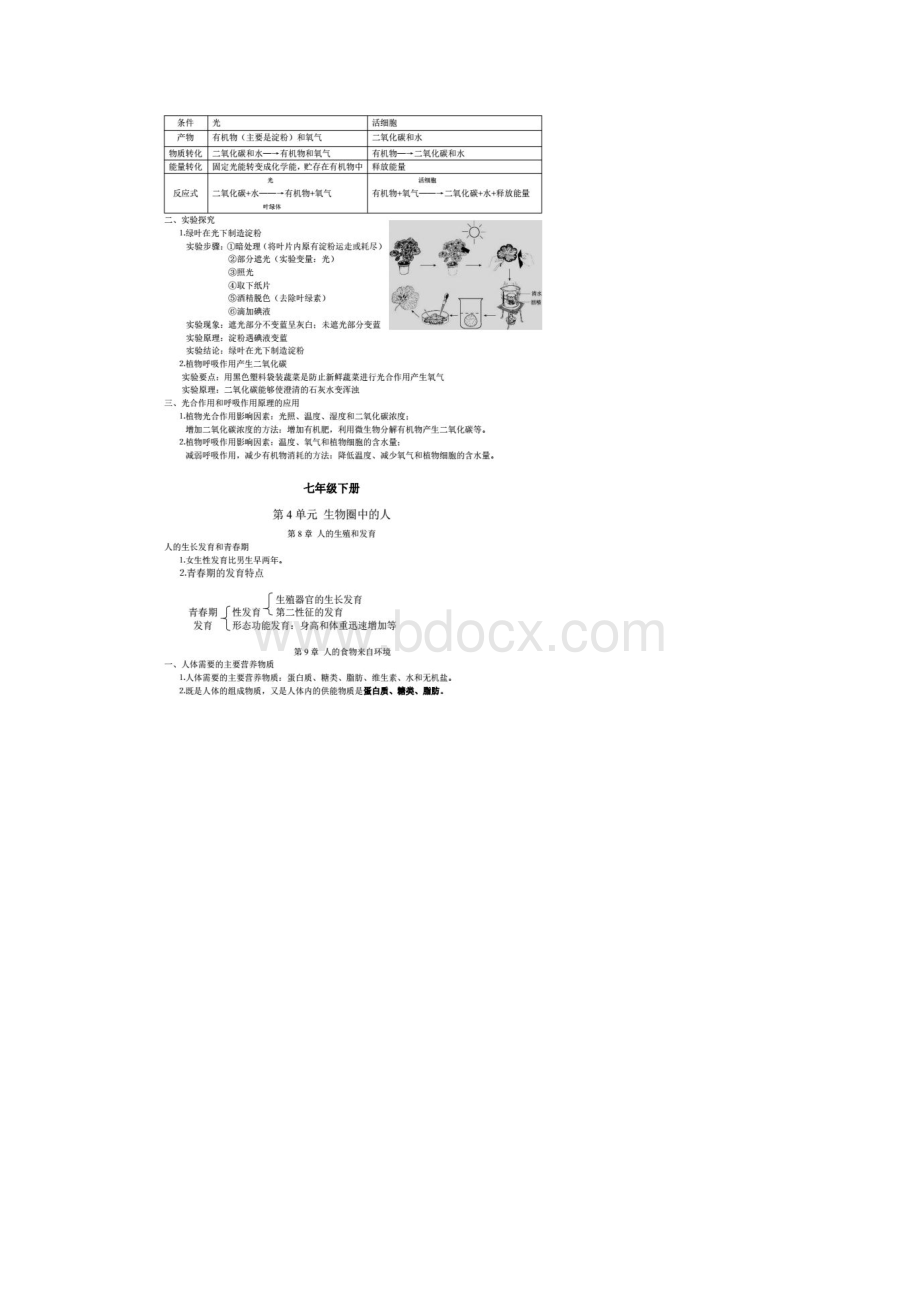 初中生物各单元知识点总结.docx_第3页