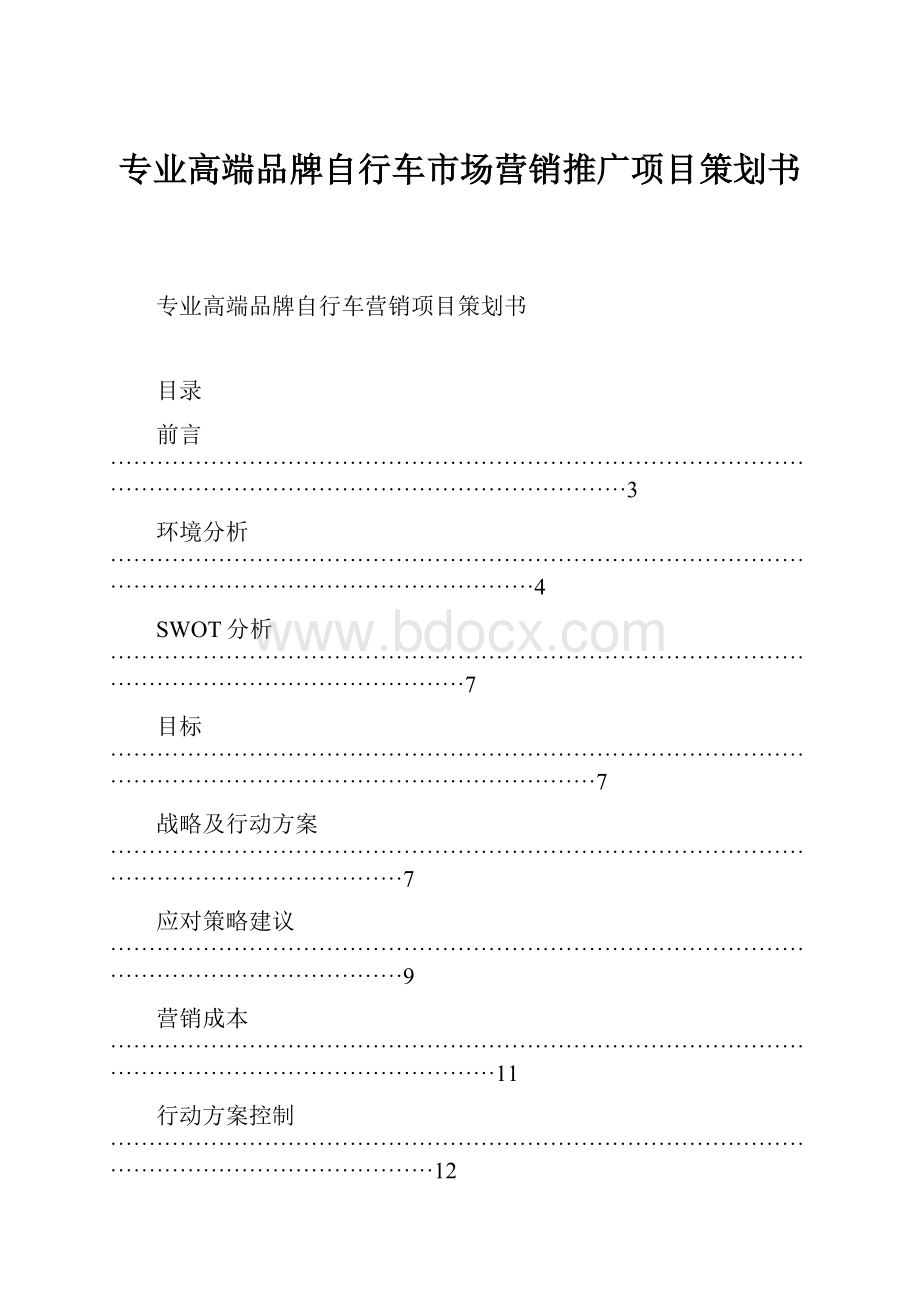 专业高端品牌自行车市场营销推广项目策划书.docx_第1页