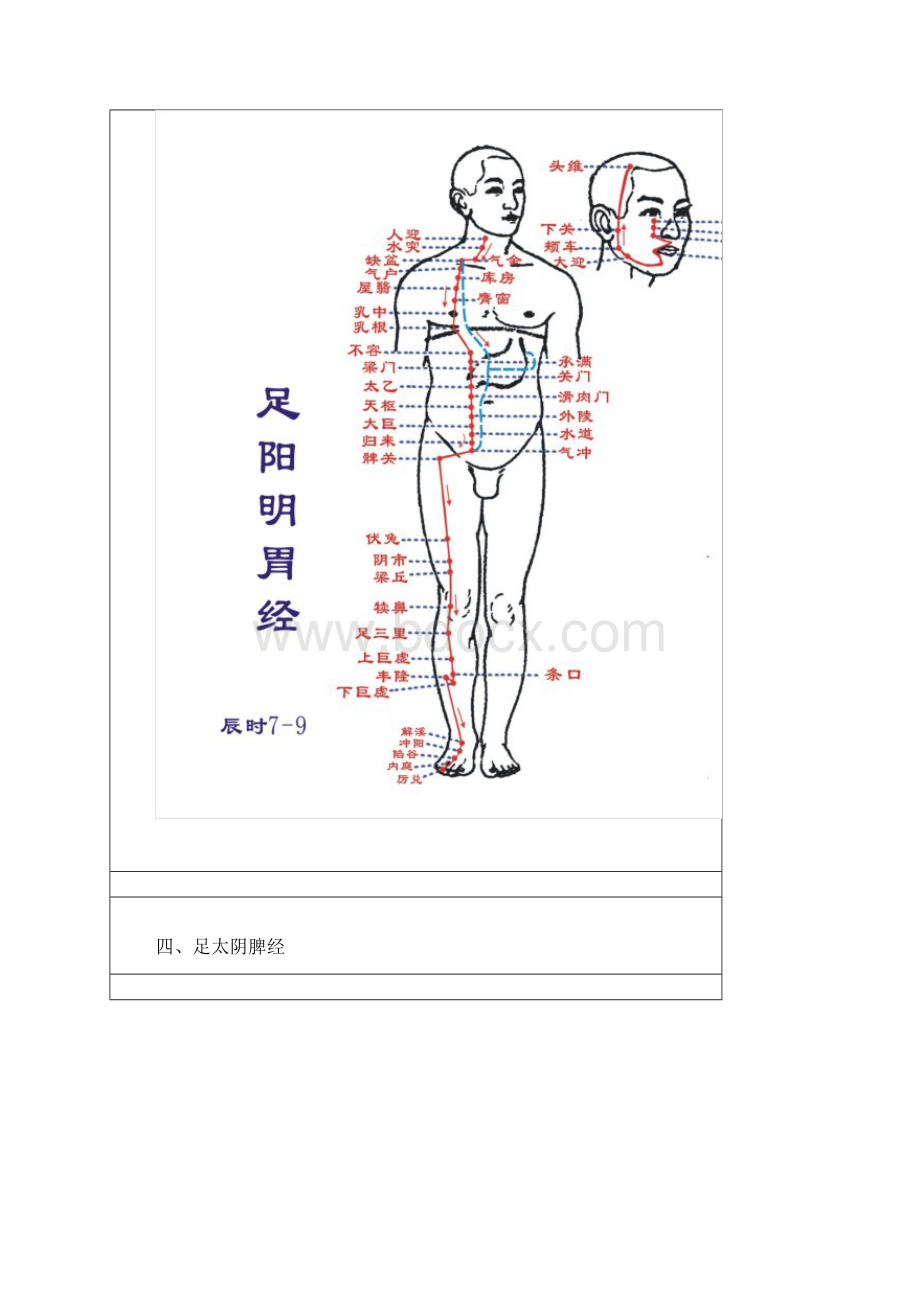 十二经络穴位图.docx_第3页