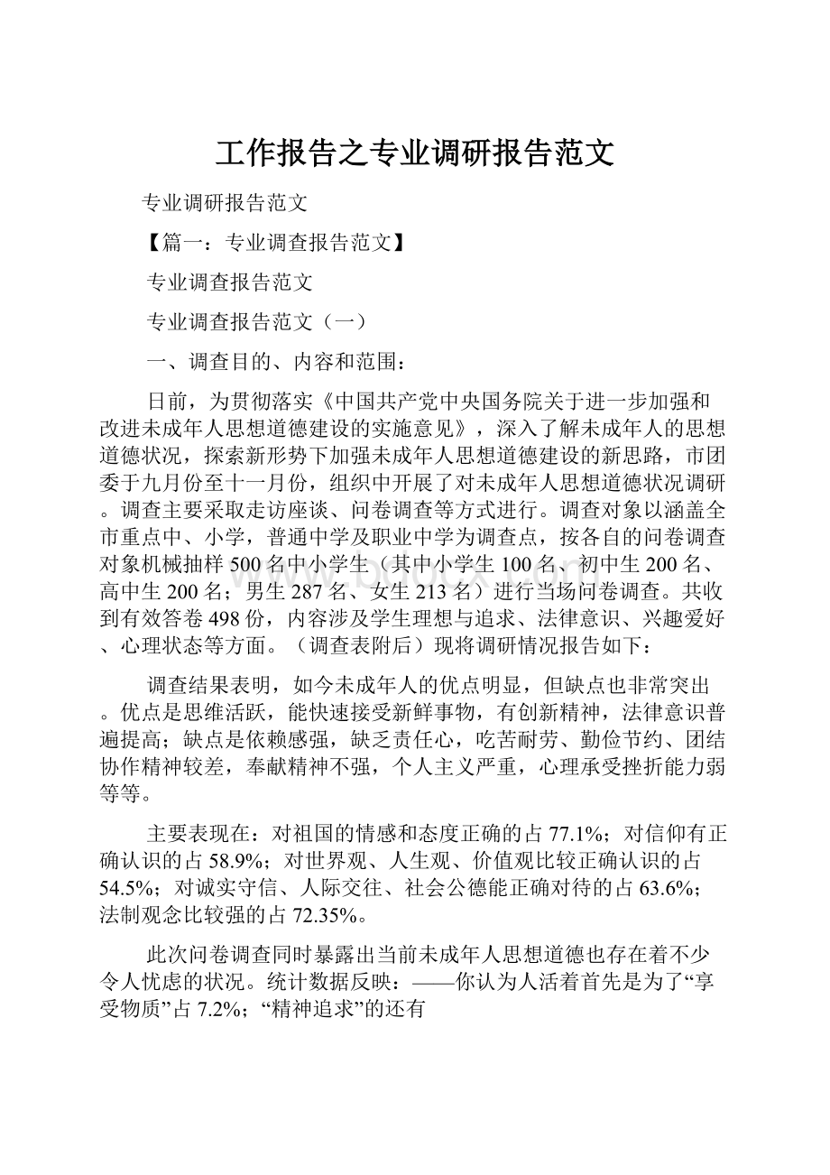 工作报告之专业调研报告范文.docx