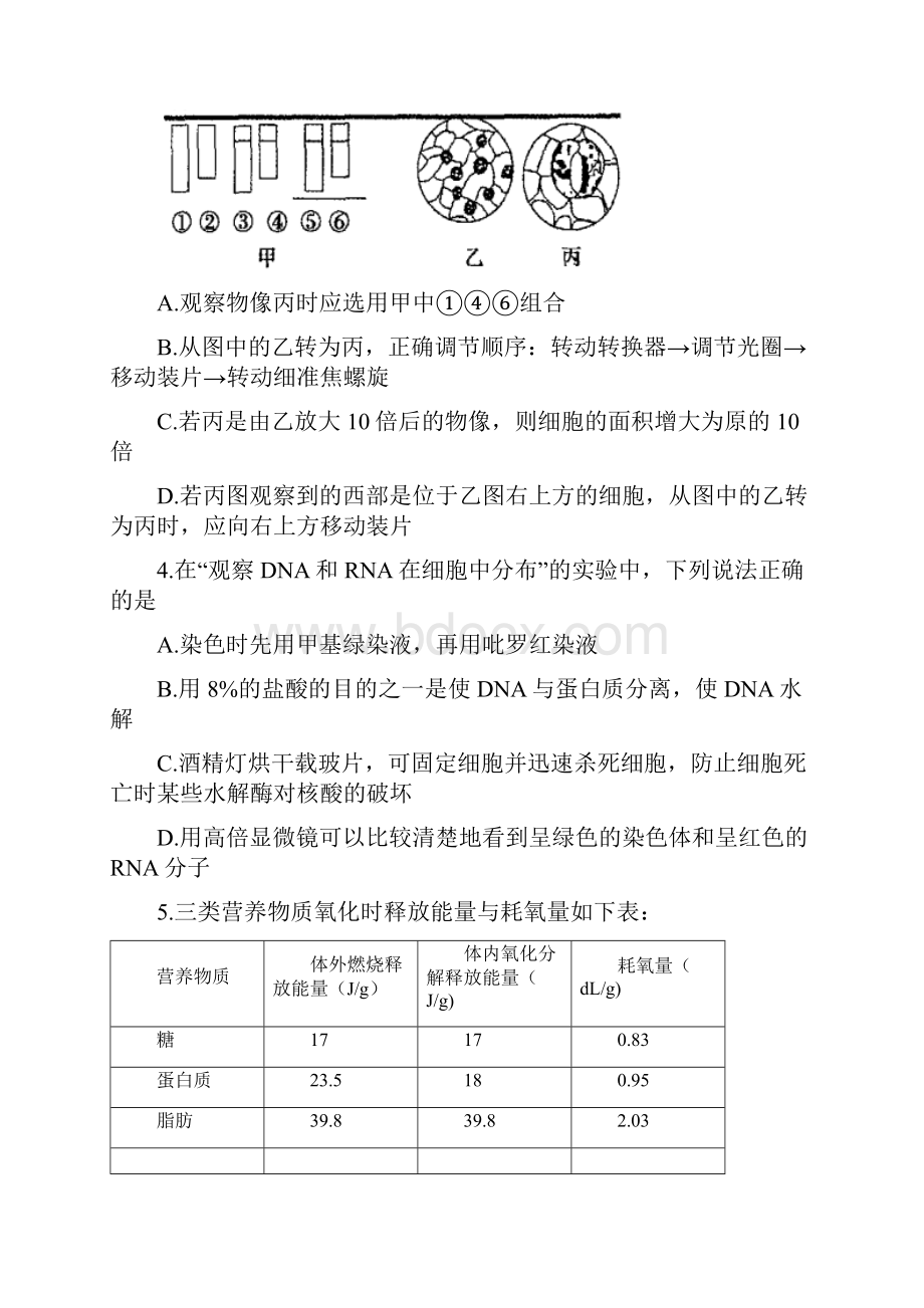 河南省濮阳市学年高一下学期升级考试期末生物试题含答案.docx_第2页