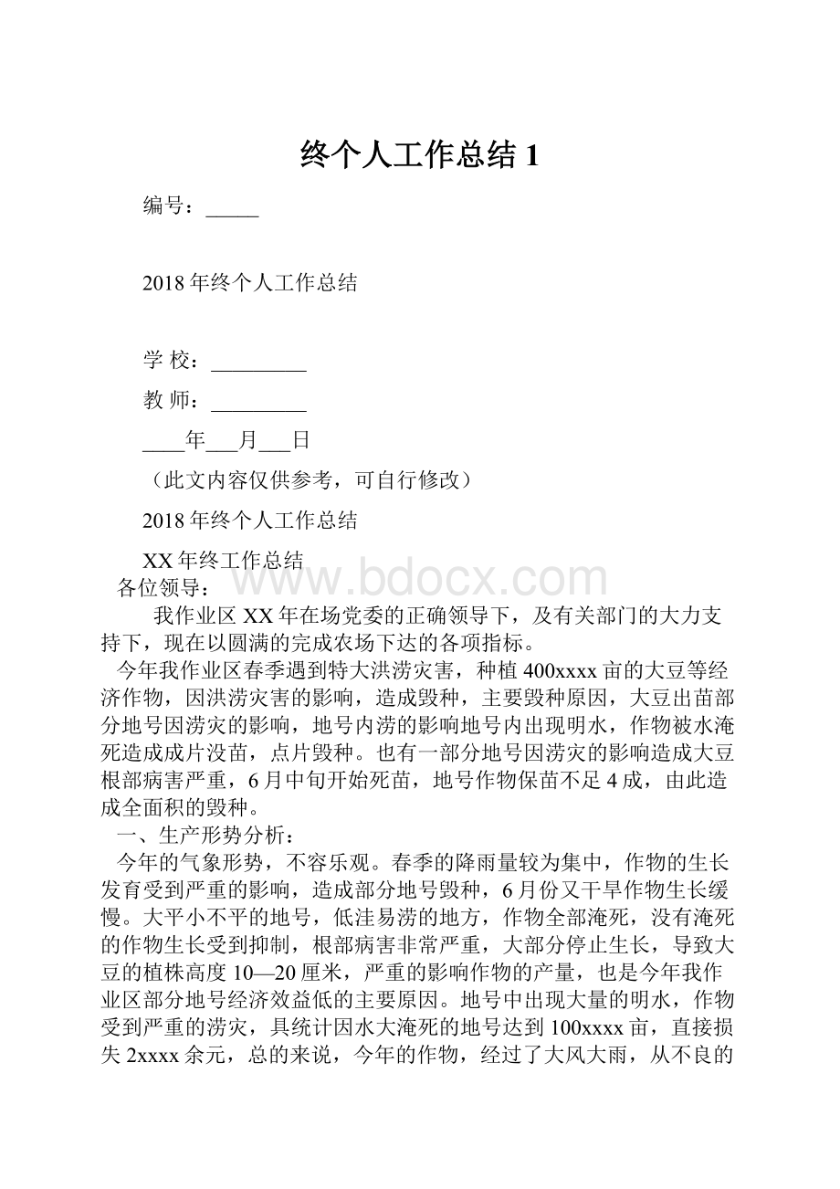 终个人工作总结1.docx_第1页