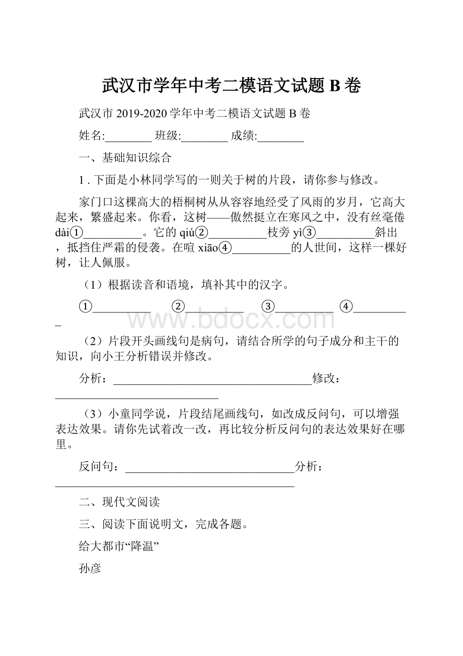 武汉市学年中考二模语文试题B卷.docx