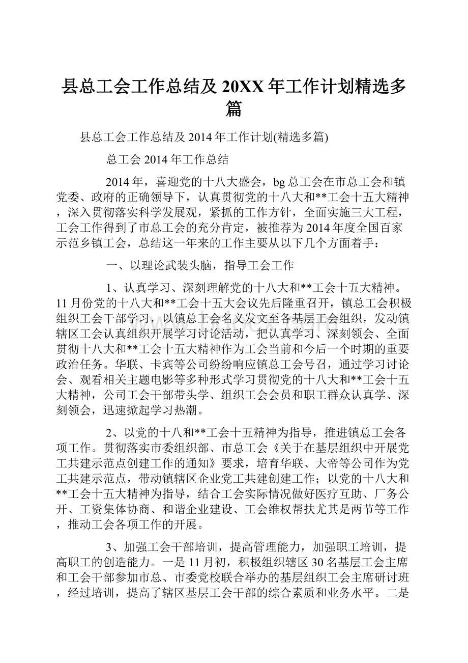 县总工会工作总结及20XX年工作计划精选多篇.docx