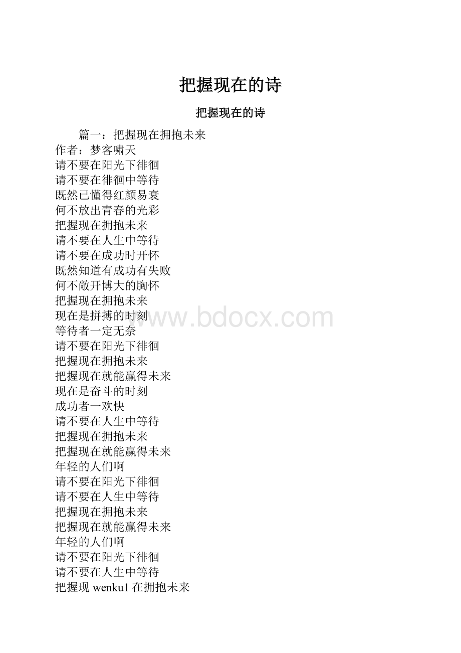 把握现在的诗.docx