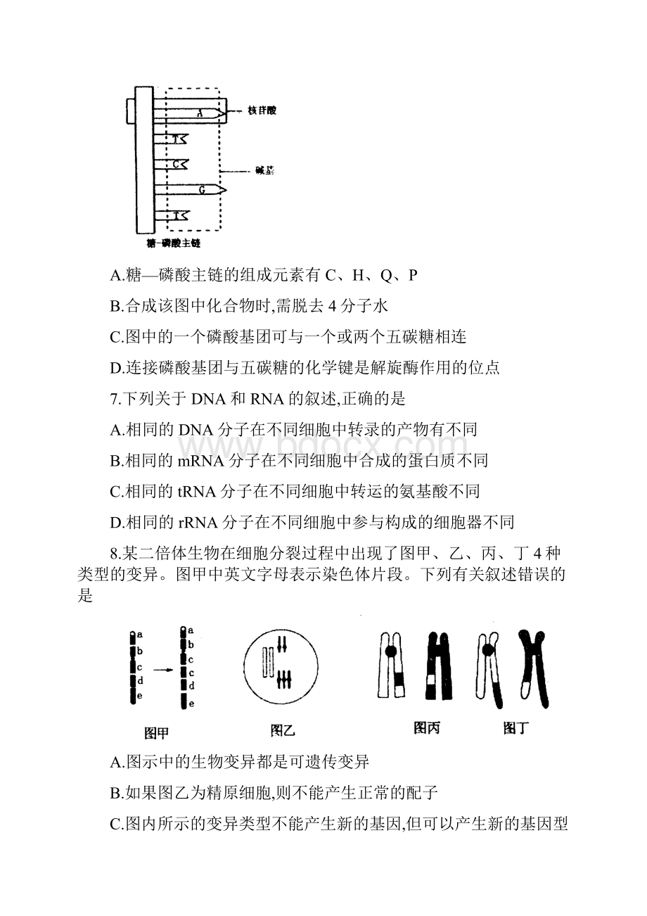 河南省洛阳市学年高二上学期期末考试生物试题.docx_第3页