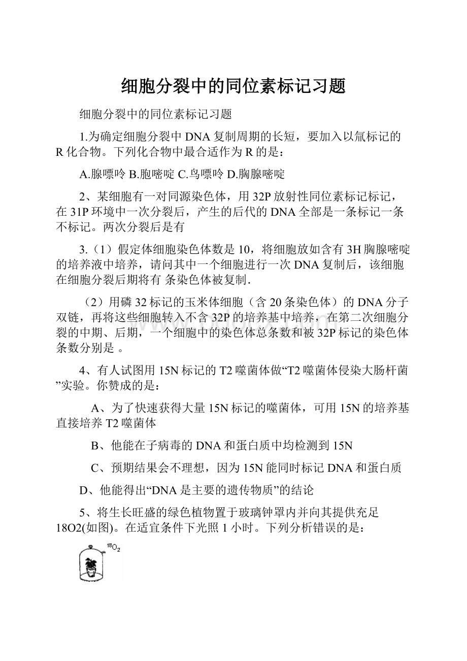 细胞分裂中的同位素标记习题.docx