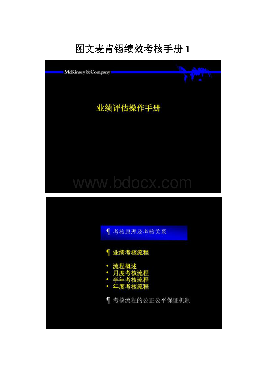图文麦肯锡绩效考核手册1.docx_第1页