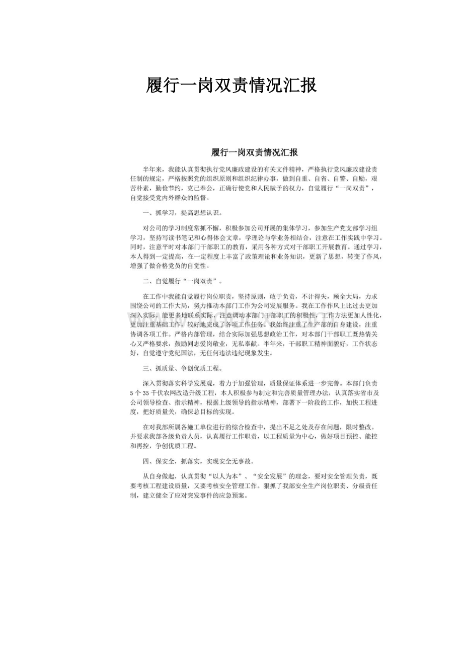 履行一岗双责情况汇报.docx