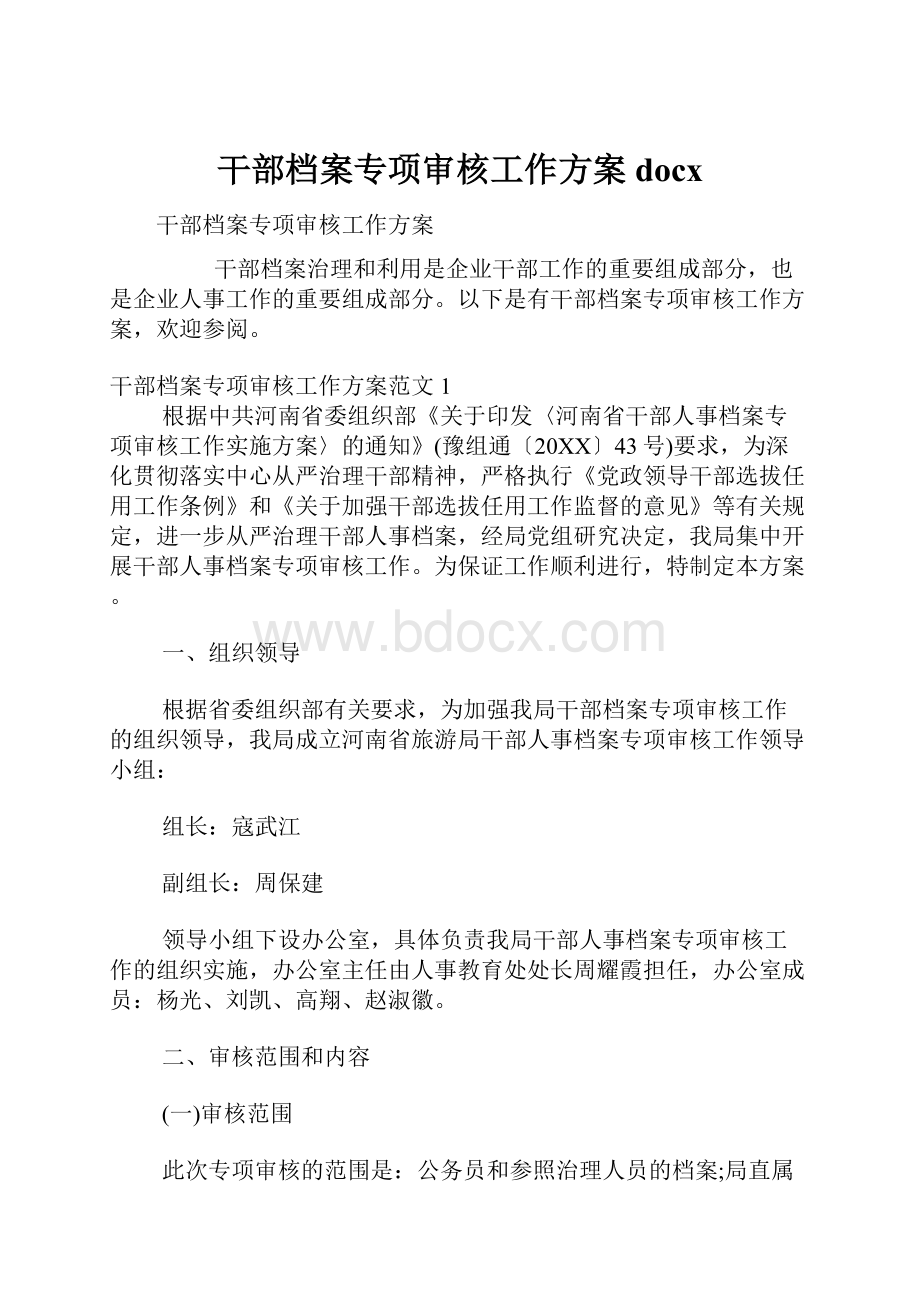 干部档案专项审核工作方案docx.docx