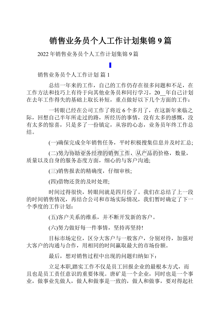 销售业务员个人工作计划集锦9篇.docx_第1页