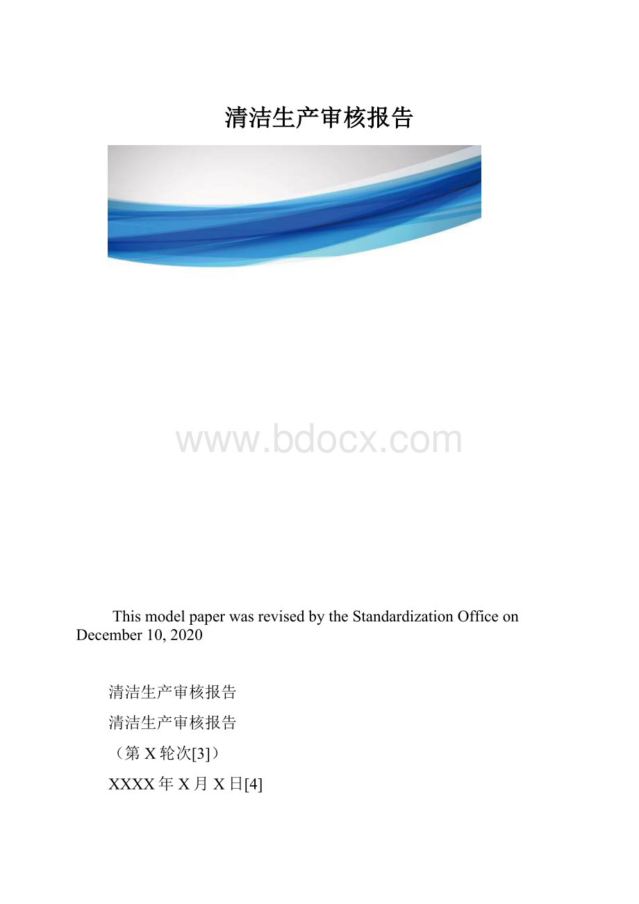 清洁生产审核报告.docx_第1页