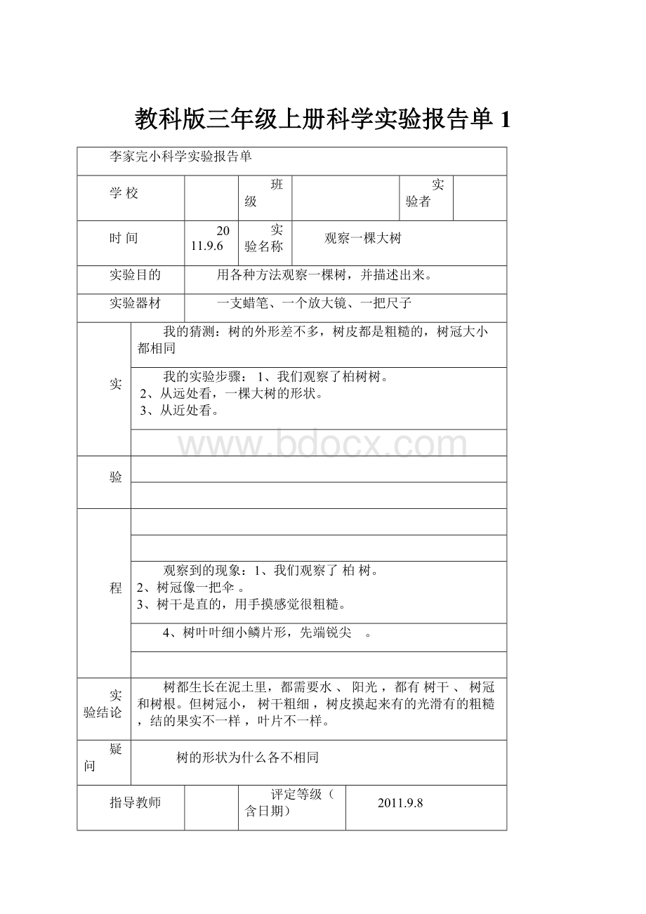 教科版三年级上册科学实验报告单1.docx