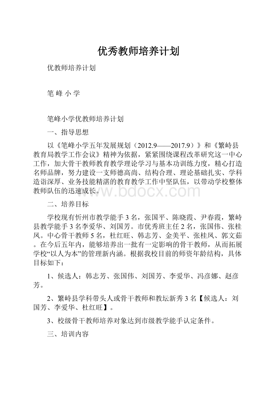 优秀教师培养计划.docx