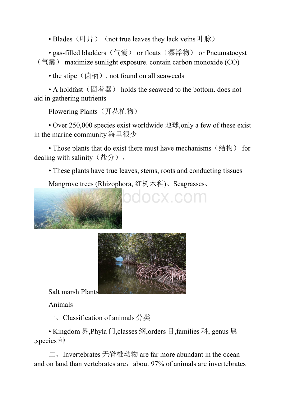 浙江大学海洋科学概论海概复习打印资料.docx_第2页