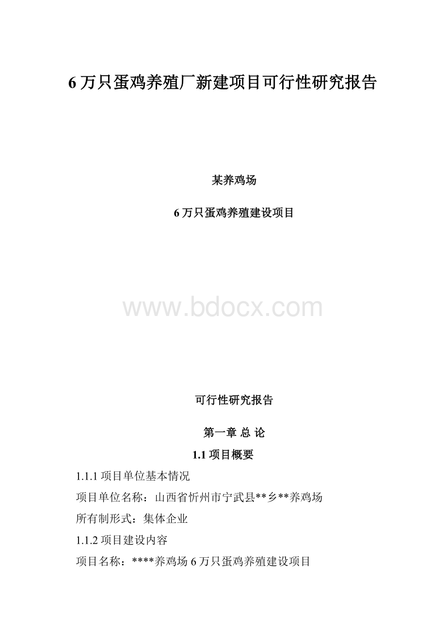 6万只蛋鸡养殖厂新建项目可行性研究报告.docx