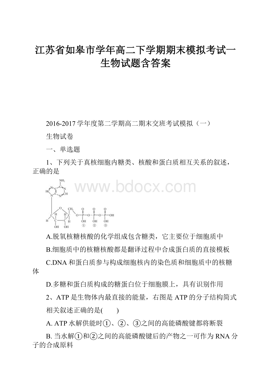 江苏省如皋市学年高二下学期期末模拟考试一生物试题含答案.docx