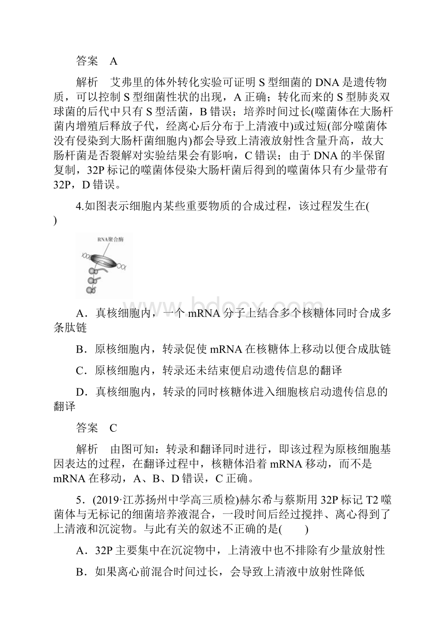 高考生物二轮复习热点专题训练遗传的分子基础解析版.docx_第3页